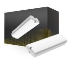 LED Bulkhead White 3W 280lm - 840 Cool White | IP66